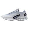 Air Max DN Premium