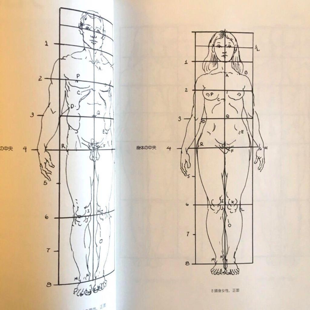 [GEBRAUCHT] Aktzeichnen 430 Schnitte Struktur Grundlegendes Skelett-Diagramm Erklärung Illustration Akt