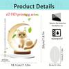 Moon Cat Acrylic Home Entrance Study Desk Ornament Prop Holiday Decoration Birthday Gift