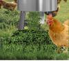 Stainless Steel Vegetable and Fodder Chopper for Poultry
