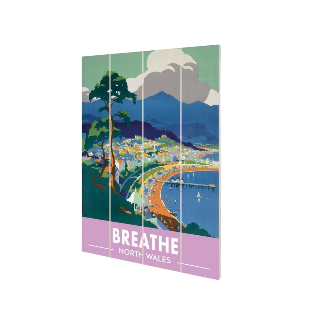 Railway Museum Breathe North Wales Small Wood Print