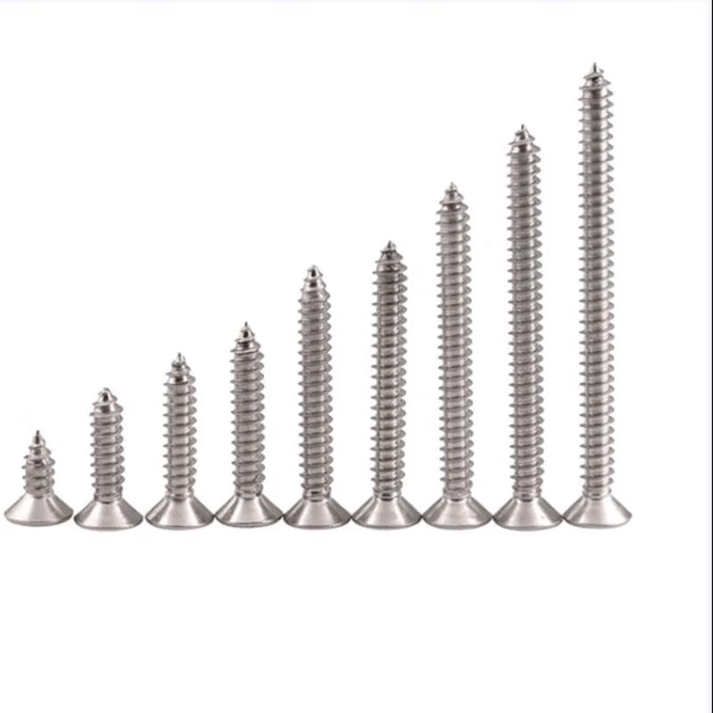 DIAIEN 304 SS Phillips Flat Head Self-Tapping Screws