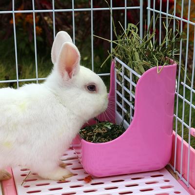 Hay Feeder for Rabbits  Small Indoor Hay Feeder  Guinea Pig, Rabbit Golden Bear Small Animal Specific Feeder  Bowl Accessories