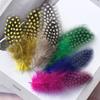 50Pcs Pearl Chicken Feather Polka Dots Feather Cat Teaser Stick Accessories Colored Polka Dots Pheasant Hair Handmade Decorative Material