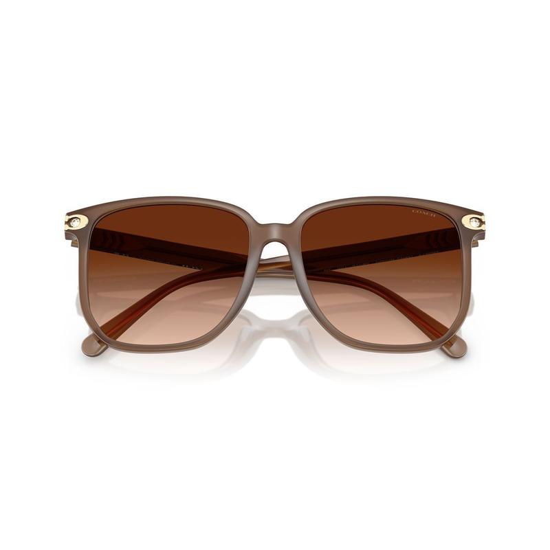 COACH [Available prescriptions] Fashionable and versatile, square sunglasses, same style for men and women, couple style
