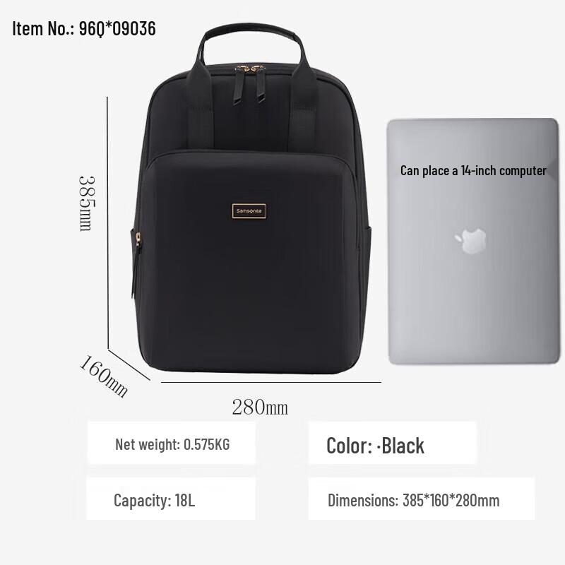 Samsonite Business Laptop Backpack