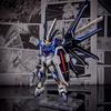 1/144 HG Scale Mecha Plastic Model Kit Xfs SEED Rising Freedom DIY Assembly Action Figure Collectible Toy Birthday Adult Gift