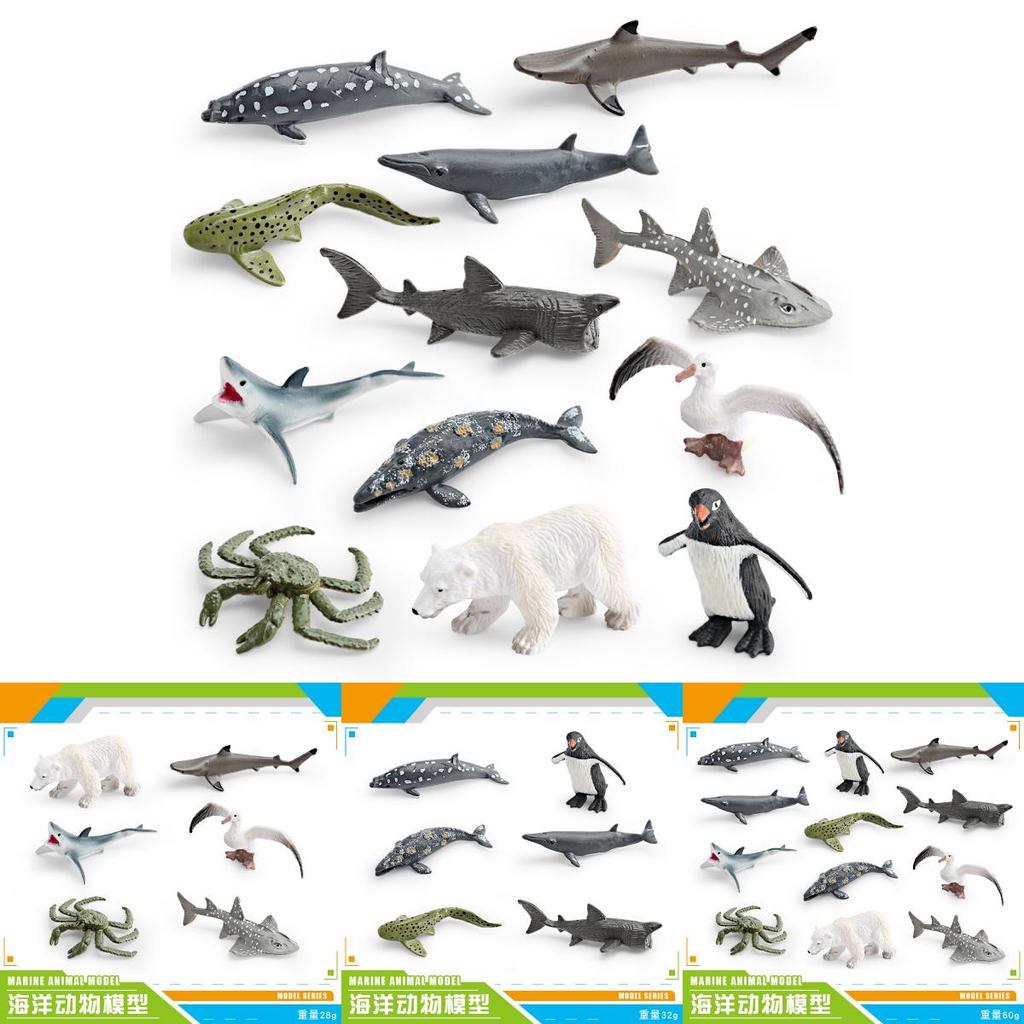 Shark Penguin Polar Bear Models With Pvc Material For Childrens Learning And Decor