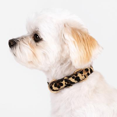 Obojek pro psa s leopardím vzorem PU kůže Odolný proti opotřebení Leopardí psí obojek Nastavitelný obojek pro mazlíčka pro venčení Malí střední psi
