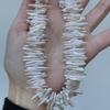 1 Ficelle, Perles d'Eau Douce Naturelles Blanches, Perles Baroque à Trou Horizontal, pour la Fabrication de Colliers, Bracelets, Bijoux Artisanaux, Longueur 36 Cm