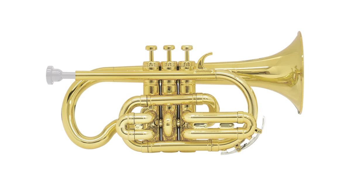 

ZO Plastic Cornet Champagne Gold CN-08 Color
