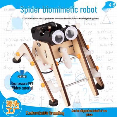 DIY Bionischer Spinnenroboter Bausatz für Kinder: Achtbeiniges Spaß-Wissenschaftsexperiment
