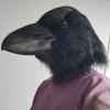 Realistisch Ravenmasker - Zwart Vogelontwerp Volledige Hoofddeksel voor Halloween, Carnaval en Kostuumfeesten, Voor Rollenspel en Pranks