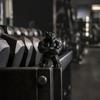 3D Printed Muscle Bear Statue Matte Black Fitness Ornament for Office Bookshelf Gym