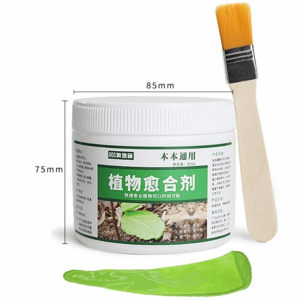 Smear Agent Tree Wound Sealant with Brush Plant Restoring Sealant New Pruning Compound  Tree Care