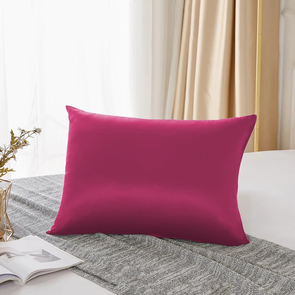 25 Momme  Natural Mulberry Silk Pillowcase,Both Sided Pure Silk Pillow Cover Gifts for Women,Pure Silk Pillowcsae For Hair