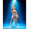 Tamashii Nations S.h. Figuarts   Perfect Superhuman Origin Chapter   Kinnikuman