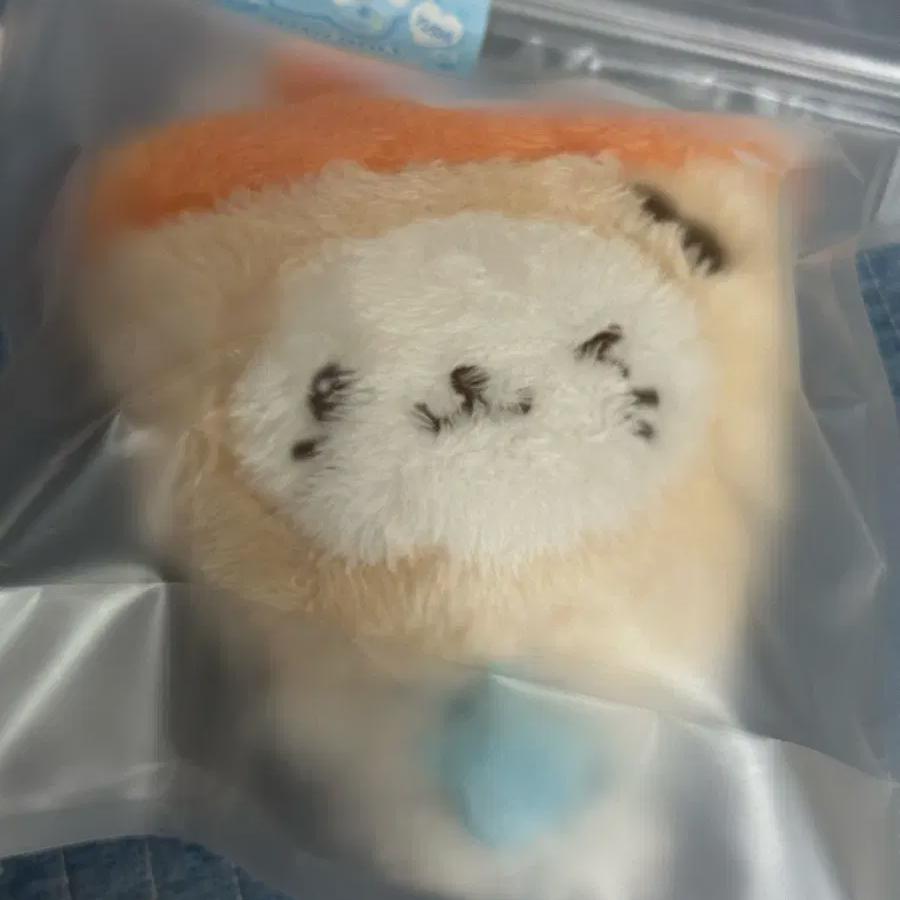 

Nct Wish Yuushi Bubble Night