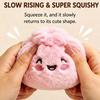 Mystery Style Dumpling Squishy Toy Soft Plush Blind Box Toy Cute Desk Decor Toy  Adult Desk Decor