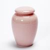 Chinese Style Crackled Glaze Ceramic Storage Bottle Jars Tea Box Tea Spice Sugar Jars Food Container Miniature Kitchen Storage C