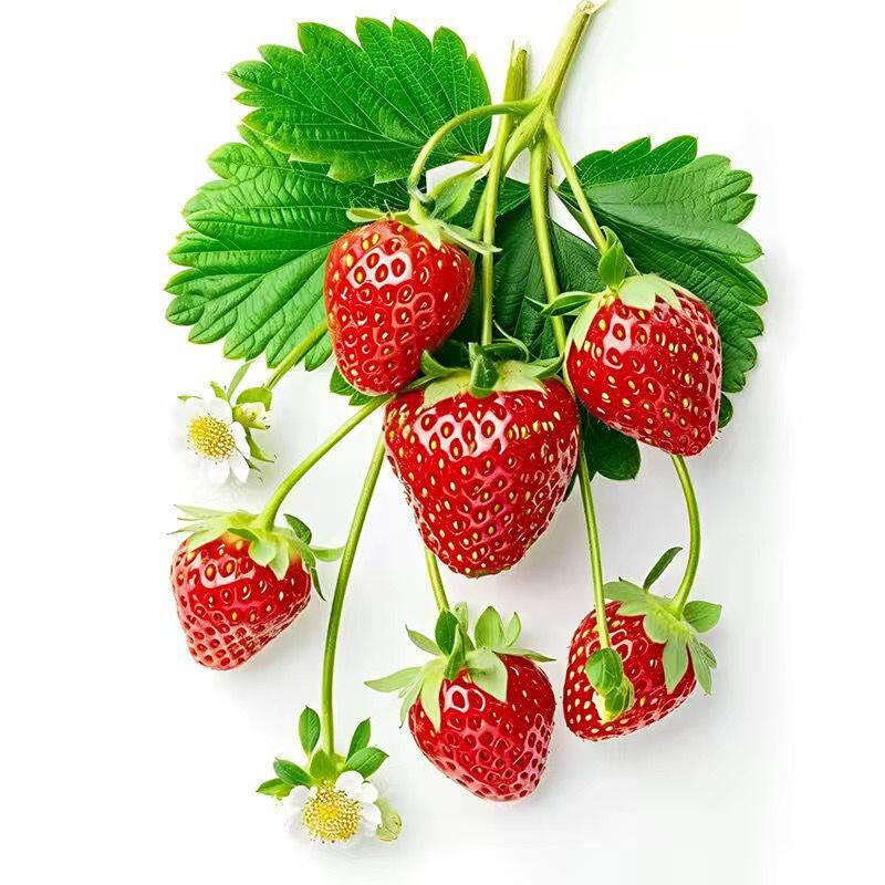Charming Strawberry Waterproof Kitchen & Refrigerator Stickers