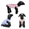 Breathable Post-surgery Cat Suit - Anti-lick Weaning Outfit for Spring/Summer