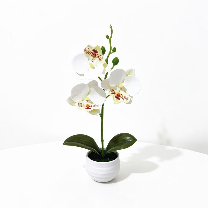 Butterfly Orchid Artificial Plant Home Decor With Plastic Leaves For Living Room And Office
