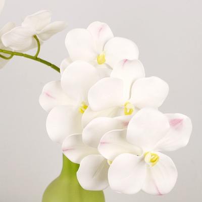5 Hlav Umělá Orchidej Real Touch Vícebarevná Falešná Květina Phalaenopsis Železný Drát Vnitřní Výplň 67cm Hedvábná Květina