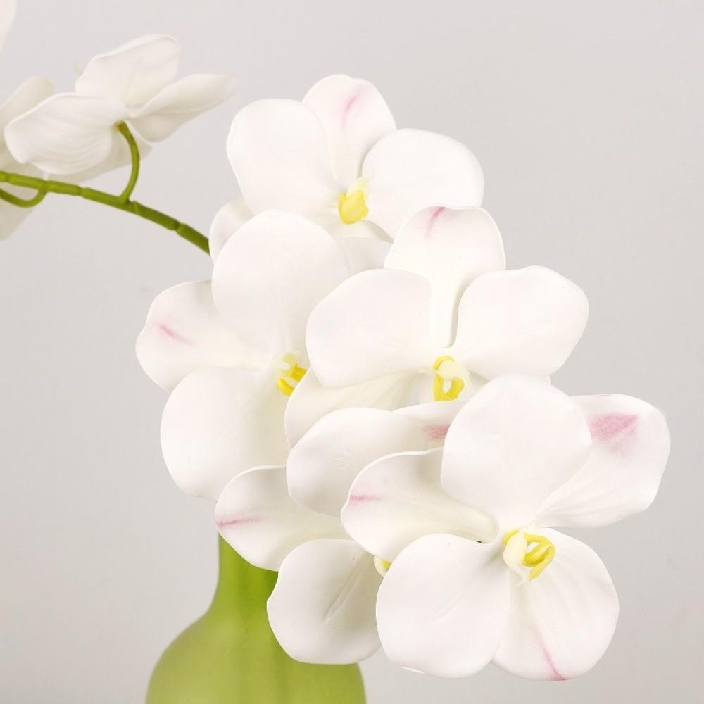5 Heads Artificial Orchid Real Touch Multi Color Fake Phalaenopsis Flower Iron Wire Inner Lining 67cm Silk Flower