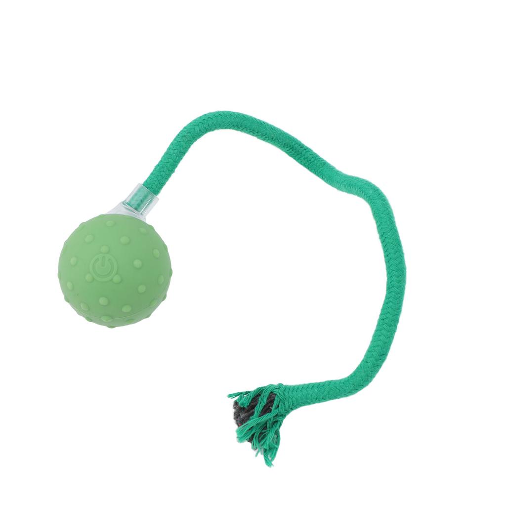 Interaktiver Katzenspielzeugball Langeweileabbau Tragbar Automatisch Bewegungsaktiviert Elektrischer Haustierball Spielzeug