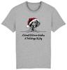 BRITTANY SPANIEL Christmas Dog T-Shirt Adults Kids Woof Wishes Tail Wags Xmas