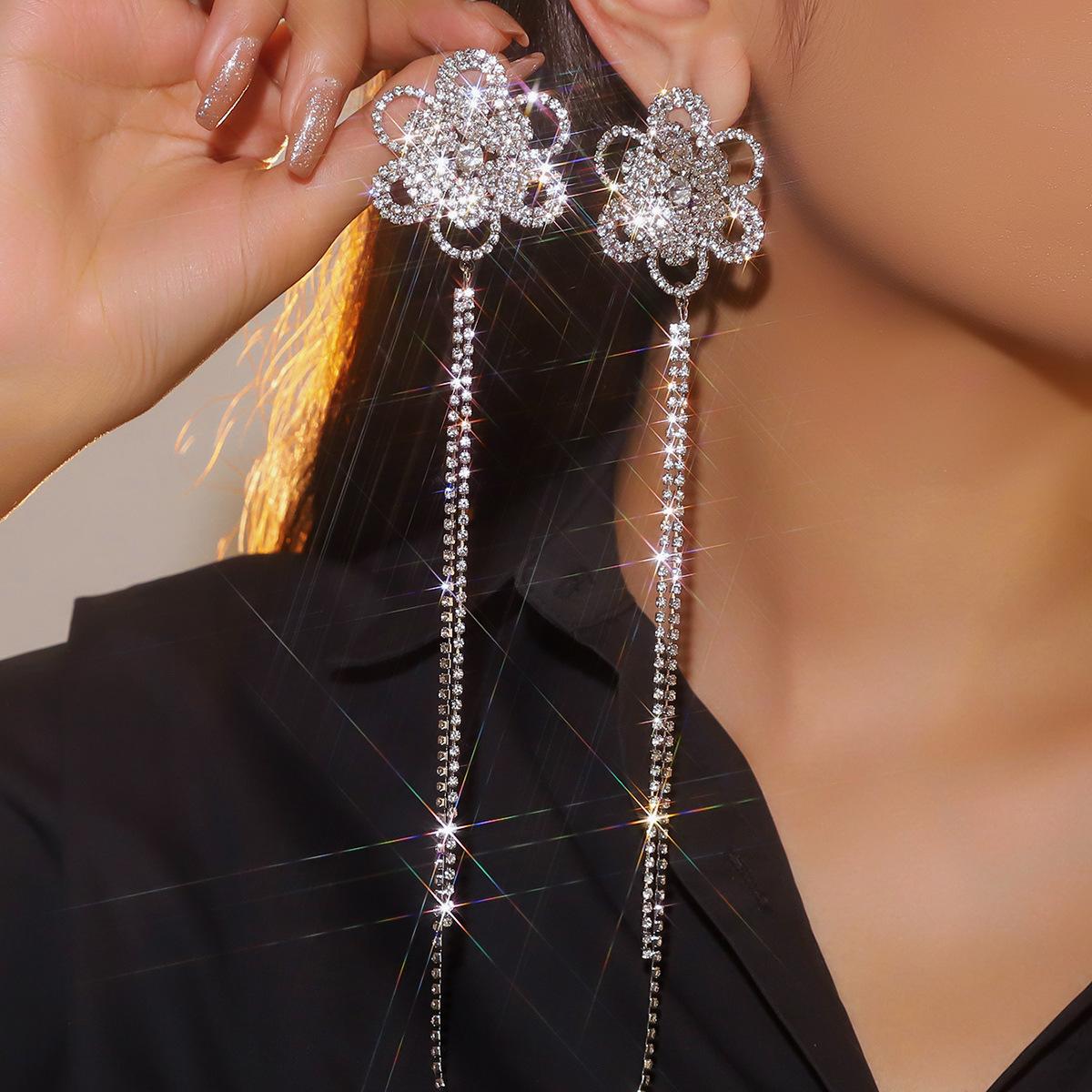 

High-end luxury long 2-line fringed earrings