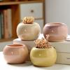 Charming Ice Crack Ceramic Succulent Pot - Small, Cute Desktop Cartoon Decor