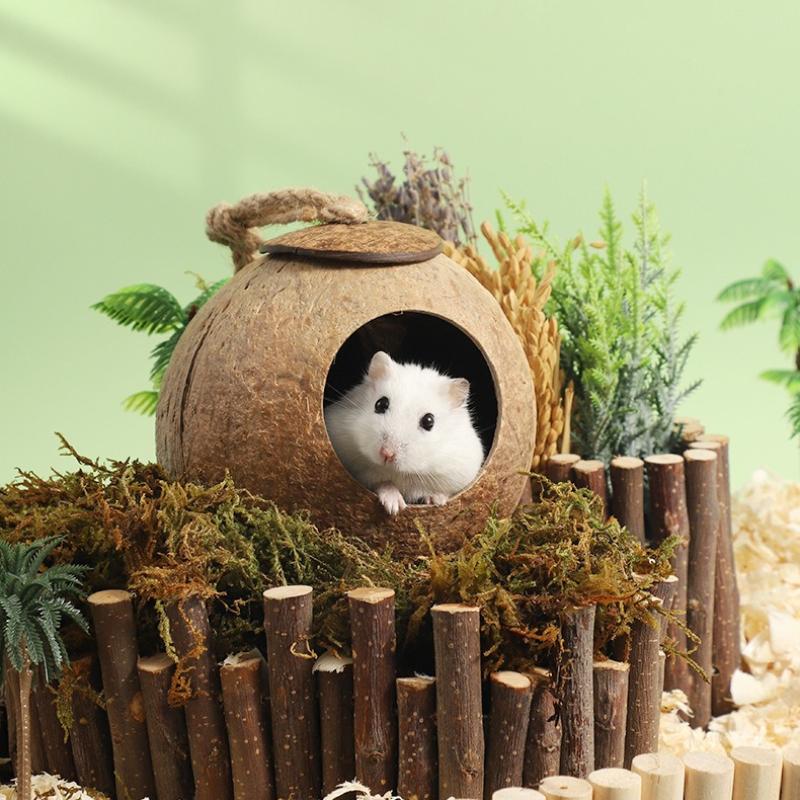 Hamster House Bite-resistant Natural Small Pet Coconut Cages Guinea-pig Hamster Hideout House Toy Wooden House Pet Supplies Natural Coconut Hut