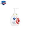 Safeguard Red Pomegranate Foaming Hand Soap