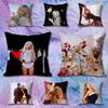 SSabrina CCarpenter Friend Anime Celebrity Merchandise AllMatch Printed Pillow Case Sofa Car Office Room Decoration Protector