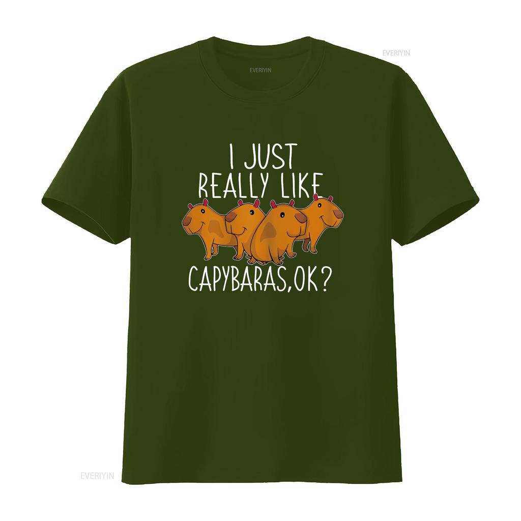 Capybara Lover Cute T Shirt  vintage Washed Casual streetwear Soft graphic homme Stylish designer clothes Versatile Stretched