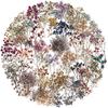 50Pcs Dried Flower Collection Record Pet Stickers Decorative Handmade Scrapbooking Material Diary Album Craft Supplies