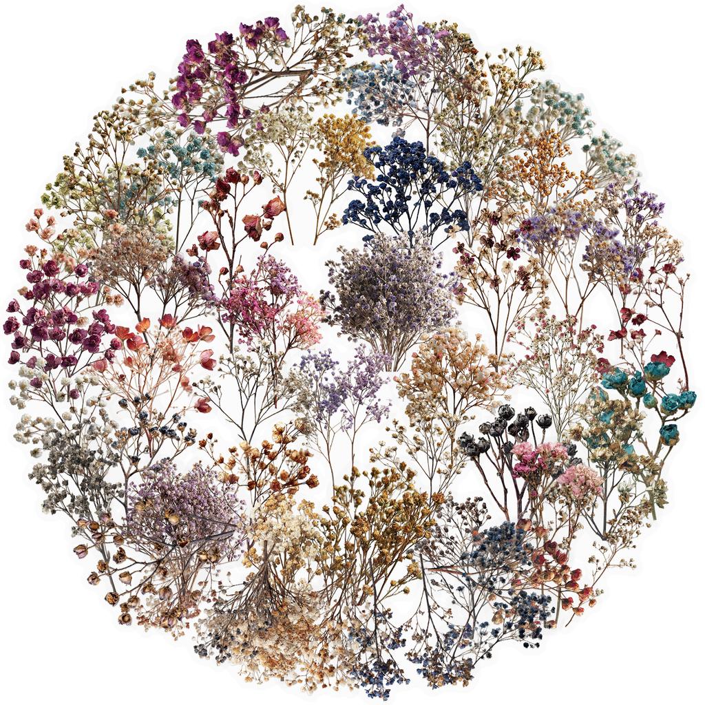 50Pcs Dried Flower Collection Record Pet Stickers Decorative Handmade Scrapbooking Material Diary Album Craft Supplies