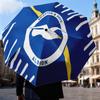 Brighton & Hove Albion Crest Automatic Folding Umbrella - 8-Rib Travel Umbrella with Auto Open/Close & Portable Gifts for holidays or birthdays