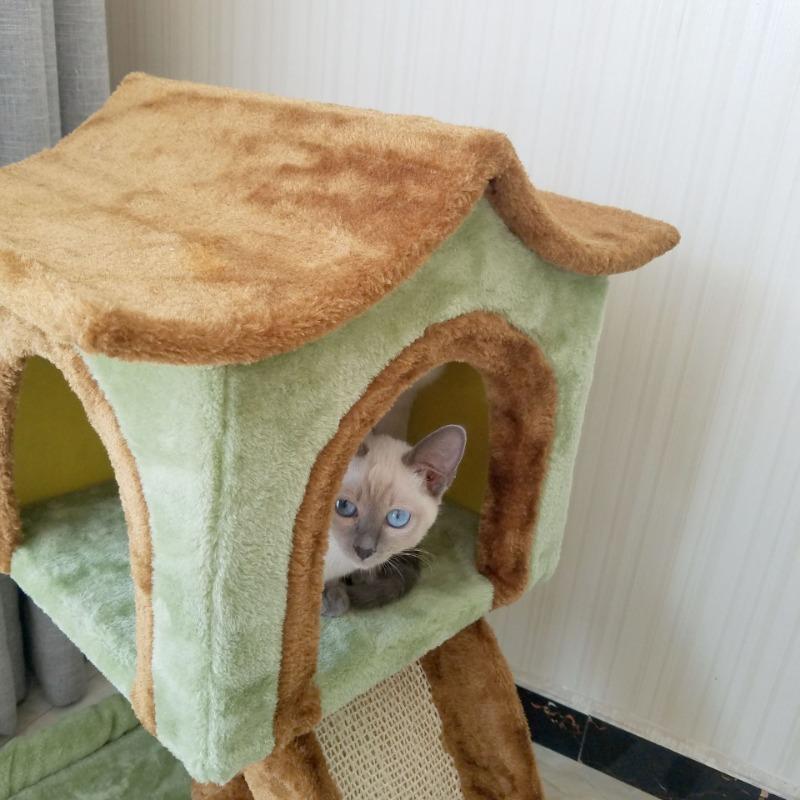Mushroom Interactive House Toys, Cute Pet Tower, Indoor, Large, Luxury, Forest, Jungle, Climbing Scratcher, Modern Cat Tree