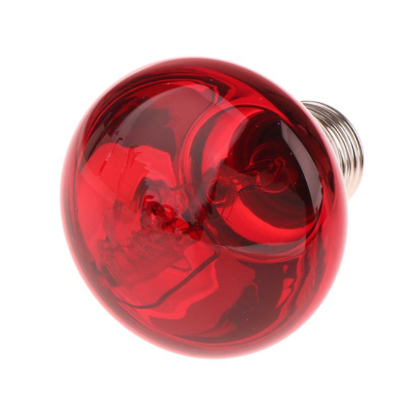 25/40/50/60/75/100W E27 Uva Poultry Bulb Infrared Night Light Day Poultry Heating Bulb For Plants Amphibians Reptile Pets
