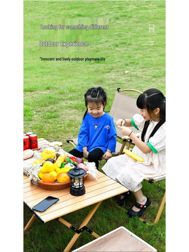 Kermit Outdoor Folding Chair: Camping, Fishing, and Beach Stool