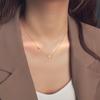 Titanium Steel Heart Pendant Necklace for Women – Elegant Collarbone Chain, Various Shapes, Light Luxury Style, 2026 Short Student Summer.