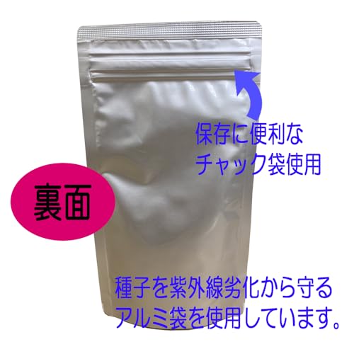 Iceland Poppy "Victory Giant Ant Mix for Landscape Use" Seeds, 100ml