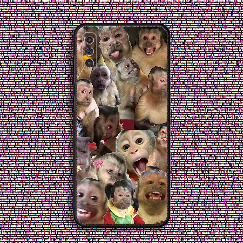 

Funny Monkey Meme Phone Case For Samsung S 25,24,23,22,30,21,10,9,Ultra,Plus,Lite,FE,4,5 G Black Soft Case Samsung S24