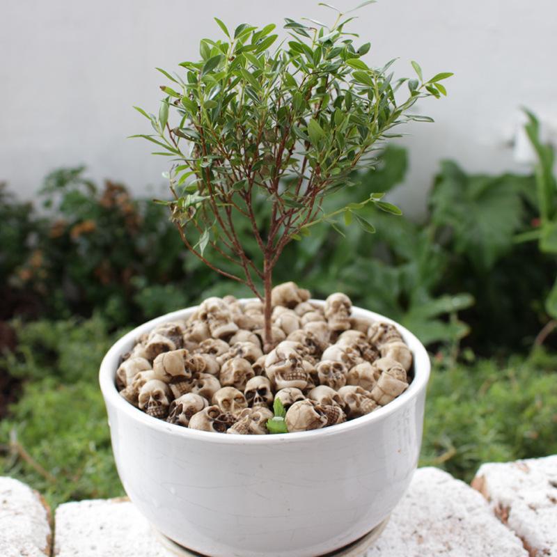 Skull Simulation Medium Set: Creative Flower Pot & Micro Landscape Paving Stone Ornaments.