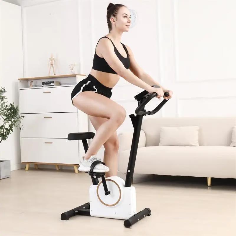 WEZHO Magnetic Spin Bike