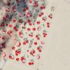 Adorable Watermelon Ice Cream 5D Nail Art Stickers Cute Bowknots Chill Ice Cubes Jelly Sweet Manicure Decal DIY
