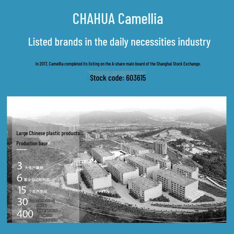 Camellia Double Handle Drain Storage Basket